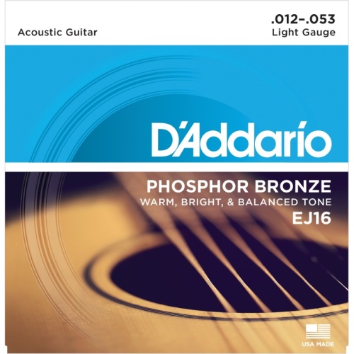 D`ADDARIO EJ16