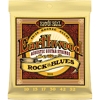 ERNIE BALL P02008