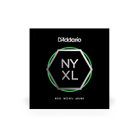 D`ADDARIO NYNW039